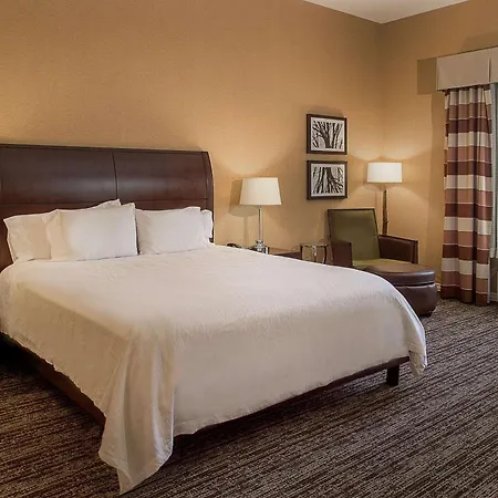 Hilton Garden Inn St. Louis Airport